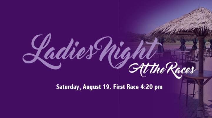 Ladies' Night