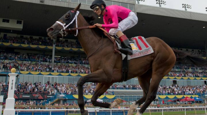 Prince of Wales Stakes
