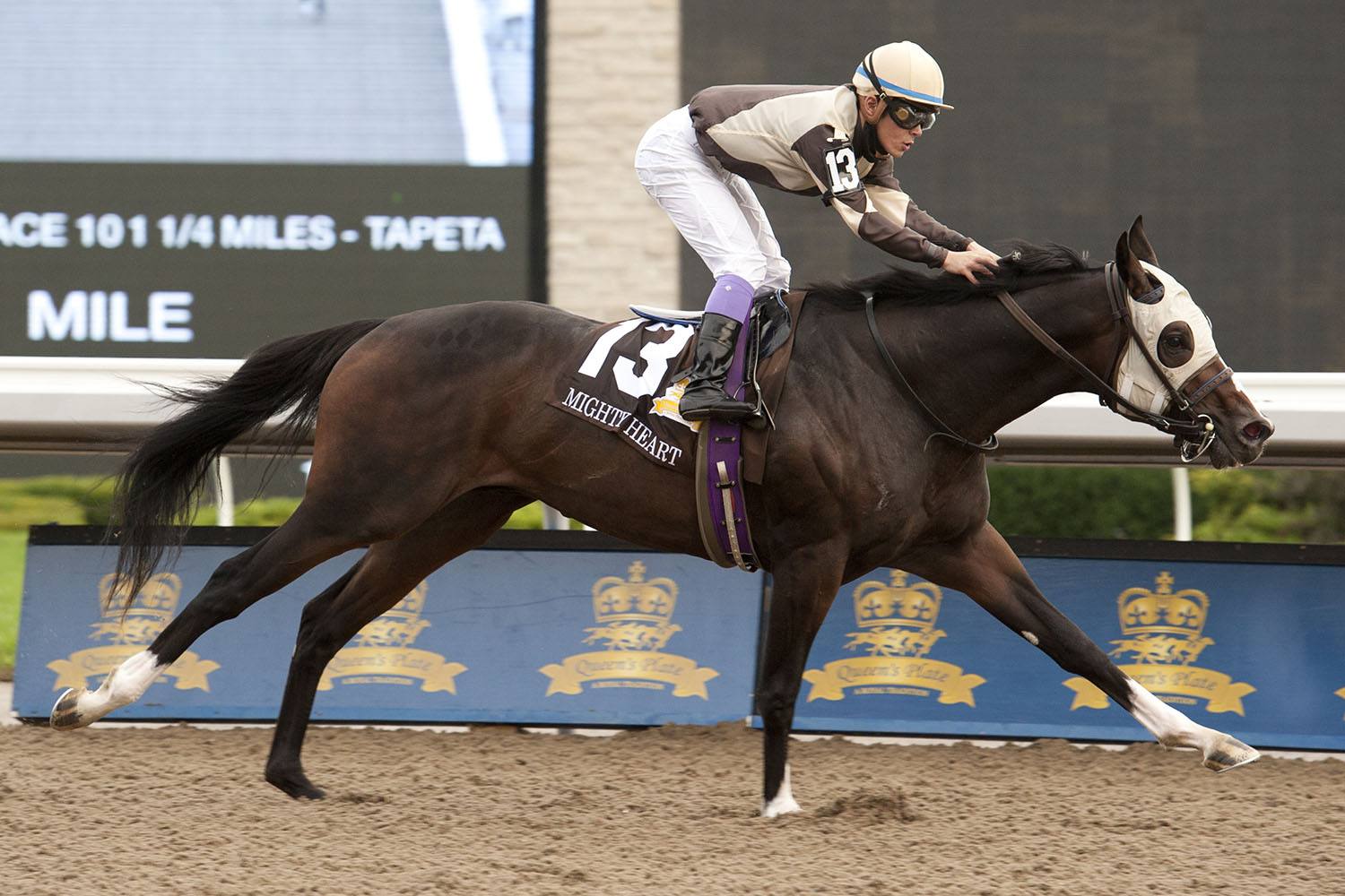 Mighty Heart wins Queen's Plate 