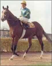 Photo of Northern Dancer