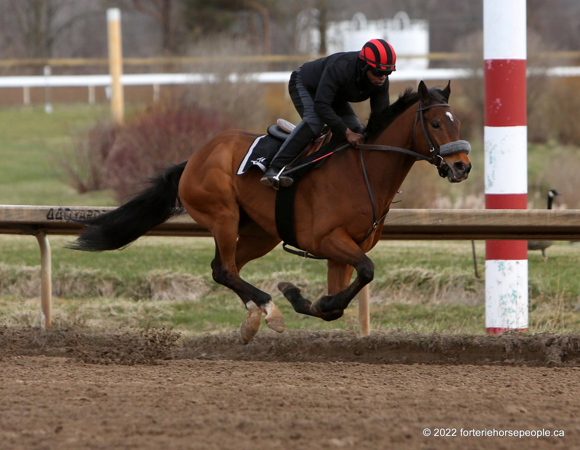 Jockey MarkLee Buchanan during morning training 