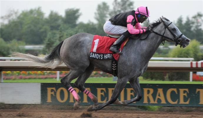 Sandy's Hurricane and jockey Kirk Johnson. Michael Burns Photo