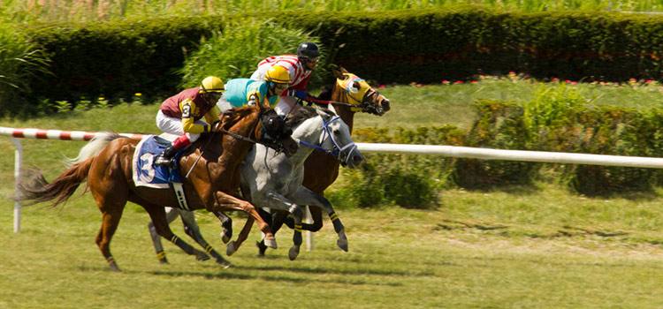 Photo of horses racing