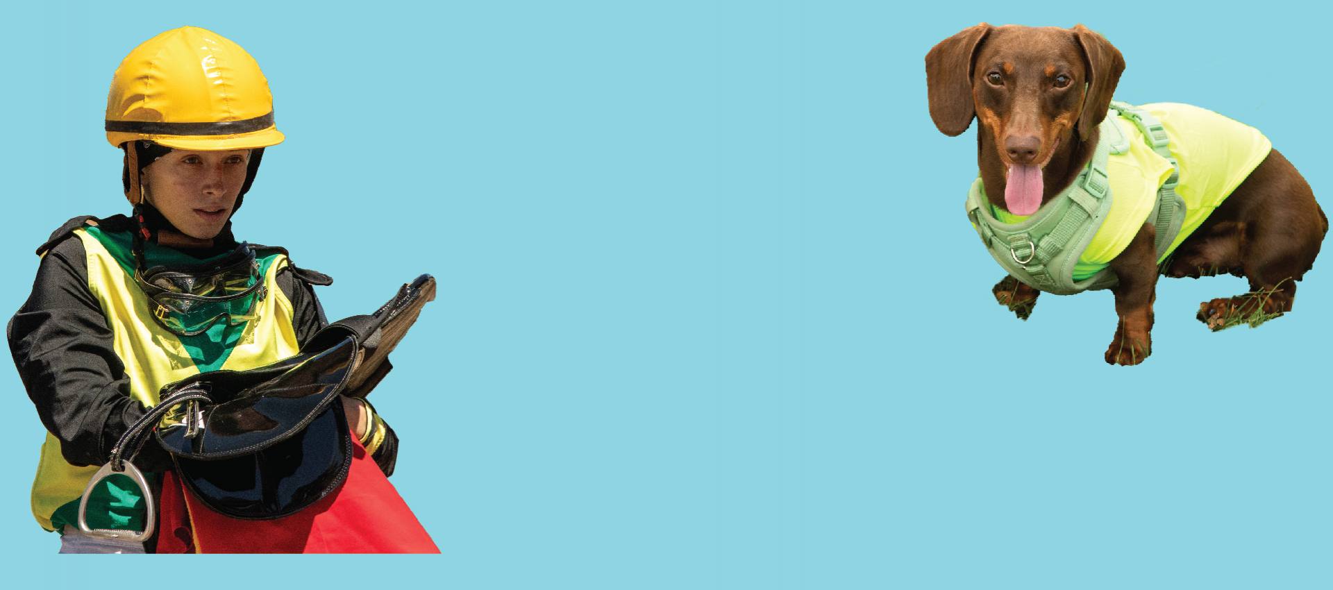 Weiner Dog Races