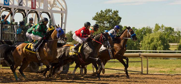 Photo of horses racing. 