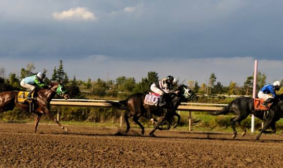 Photo of horses racing