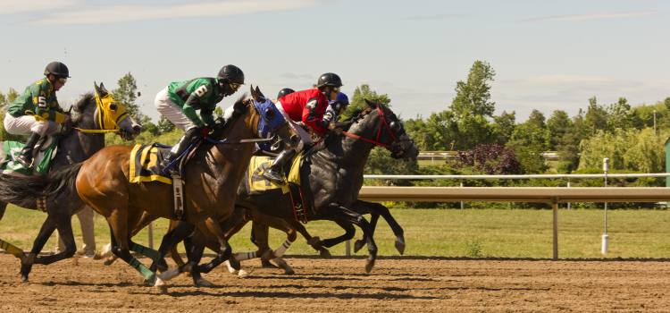 Photo of horses racing. 