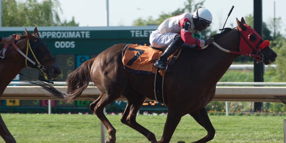 From Sinkhole to Winner's Circle: The Mr Changue Story