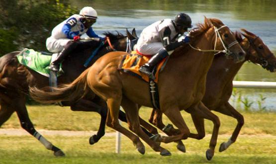 Photo of horses racing
