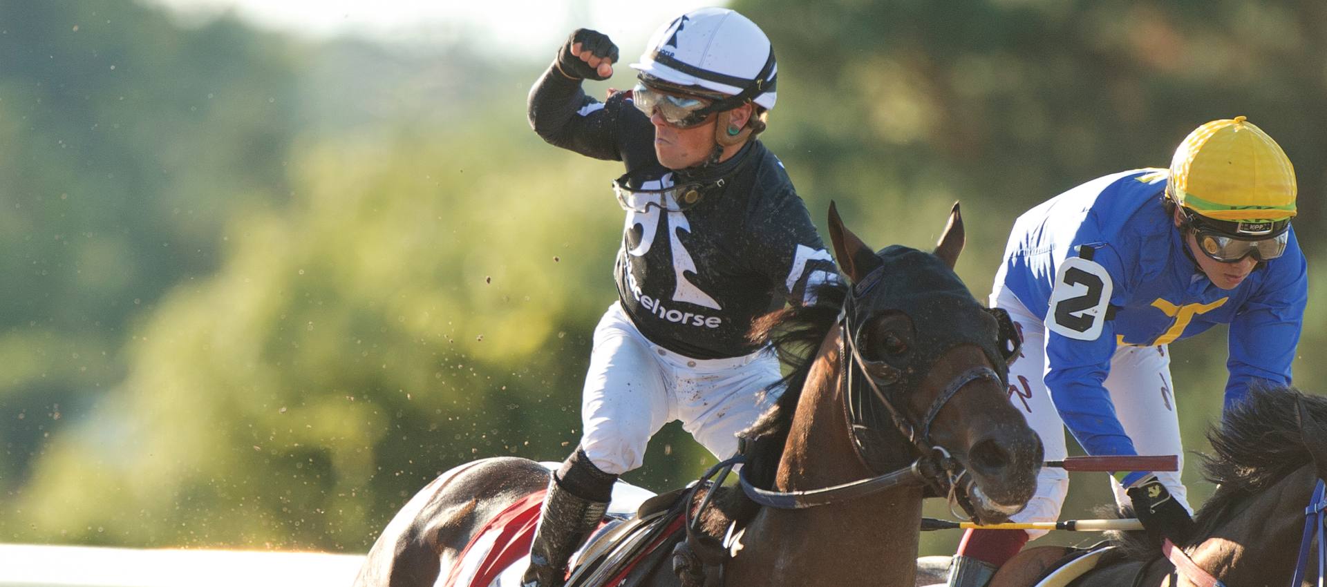 Prince of Wales Stakes